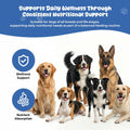 Taurine Powder Supplement for Dogs, Amino Acid Support for Heart Health & Muscle Function, Daily Canine Nutrition Powder (200 g)