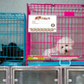 LEIFIDE 10 Pcs Metal Kennel Card Holders Kennel Accessories Dog Cat Boarding Cards Record Pet Care ID Info for Dog Hamst
