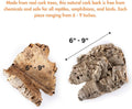 Galápagos (05501) Natural Cork Bark for Reptiles – Ideal for Bearded Dragons, Snakes, and Geckos – Climbing Accessory fo