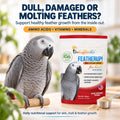UnRuffledRx FeatherUp! Bird Molting Support & Feather Growth Supplement - for Plucking, Regrowth & Molt - Multivitamin & Amino Acids for All Birds - 90g (240 Servings)