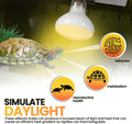 CALPALMY (4-Pack 100W Reptile Heat Lamp Bulbs - UVA Daylight Basking Light Bulbs for Reptiles, Turtles, Lizard, Bearded 