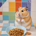 3 Pcs Guinea Pig Food Bowl Heart Hamster Food Water Bowl Plate Plastic Anti-Turning Water Dish Gerbil Drinking Bowls for