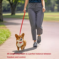 6 FT Puppy Leashes, Strong Traditional Style Leash with Easy to Use Collar Hook,Dog Lead Great for Small and Medium and 
