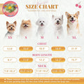 BAEJMJK Cute Flower Small Dog Sweater Soft Girl Dog Clothes Turtleneck Warm Pet Puppy Knitted Pullover Princess Dogs Cat