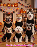 CuteBone Halloween Dog Sweater Dress with Bow for Small Medium Dogs & Cats