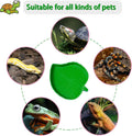 NGORAY Tortoise Feeding Dish with Ramp and Basking-Platform - Leaf Tortoise Water Food Bowls, Reptile Water Dish Amphibi