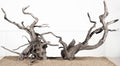 LANDEN Spider Wood Natural Aquarium Decor Branches 4pcs 12-16in Decoration