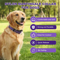 Martingale Collars for Dogs, Reflective Escape Proof Training Dog Collars with Quick Release Buckle,Adjustable No Slip Nylon Dog Collar for Medium Pets