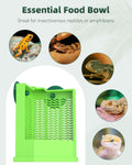 Pawfly Bearded Dragon Feeder - Escape-Proof Corner Reptile Food Box, Wall-Mounted with Suction Cups for Insects - Bug Bo