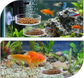 Shrimp Feeding Dish with Suction Cup, Fish Tank Feeder Dishes