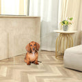 Clear Acrylic Freestanding Dog Gates for the House – Folding 3-Panel Pet Gates for Doorways, Indoor Stairs, and Hallways