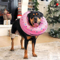 Didopet Inflatable Dog Pillow Cone Collar After Surgery, Donut Soft Neck Cone for Pug Dachshund Medium Dogs, etc, Recovery E Collar to Stop Licking Pink