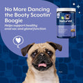 NaturVet - No Scoot for Dogs - 120 Soft Chews - Plus Pumpkin - Supports Healthy Anal Gland & Bowel Function - Enhanced with Beet Pulp & Psyllium Husk