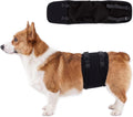 DENTRUN Male Dog Wrap, Adjustable Belly Band Leak-Proof & Lick Prevention