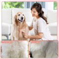 Rabbit Brush, Soft Silicone Small Animal Massage Comb, Practical Bunny Brush for Grooming, Bunny Grooming Kit Supplies S