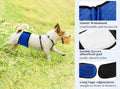 Mkono Belly Bands for Male Dogs, 3 Pack Reusable Dog Diapers