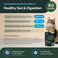 VetriScience Veterinary Strength Healthy Gut & Digestion, 60 Count