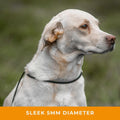 Dog & Field Signature Slip Lead for Dogs, Olive Green. 4ft Lightweight Dog Slip Leash with Sliding Rubber Stopper. Train
