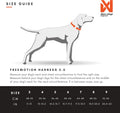 Non-stop dogwear Freemotion Harness 5.0 Dog Pulling Harness for Sports Like Running, Biking and Skiing with Dogs, Profes