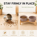 Havniva Ceramic Dog Bowls Elevated, Raised Dog Food Bowl for Small Dogs