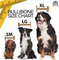 Bullibone Nylon Dog Chew Toy for Aggressive Chewers - Dental Hygiene Bone with Bacon Flavor, Durable Tough Chew Toys for