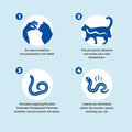 Broad-Spectrum Dewormer - (pyrantel pamoate/praziquantel) Tablets for Cats & Dogs (2 to 20 lbs)