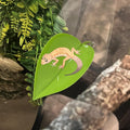 KVZVK 2Pcs Tree Frog Tank Leaf Decorations,Leaf Shape Basking Platform with Suction Cups for Leopard Gecko Tank Accessor