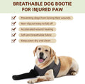 Dog Socks to Prevent Licking Paws ，Breathable Dog Leg Sleeve to Stop Licking and Biting， Firm and Secure Protect Wounds 