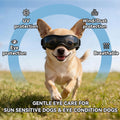 LESYPET Dog Goggles for Extra Small Breed UV Protection Windproof Chihuahua Goggles Doggy Sunglasses with Adjustable Str
