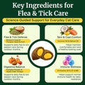 YOTANGO Cat Flea Treatment Crunchy & Creamy Chewables, 500 Chews Natural Flea and Tick Prevention for Cats + Skin and Coat Support, Daily Oral Supplement Chewables for Cats and Kittens (Salmon Flavor)