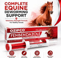 Fenbendazole Equine Dewormer Paste 10% for Horses | 25 Gram Oral Paste Syringe | Broad Spectrum Horse Wormer | Apple Fla