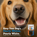 Collagen Sticks For Dogs, Collagen Chews For Dogs, Long Lasting Chew 6 inch