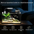2.8 Gallon Nano Aquarium Starter Kits, Fish Tank with Light