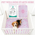 Homimp Washable Pee Pads for Dogs, 4 Pack Reusable Puppy Pads Waterproof, Absorbent and Leakproof Dog Pee Pads, Non Slip