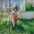 Sassy Woof Garfield™ Cat