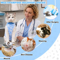 Cat Surgery Recovery Suit, Kitten Surgical Onesie After Spay