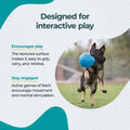 Jolly Pets Large Soccer Ball Floating-Bouncing Dog Toy, 8 inch Diameter, Ocean Blue