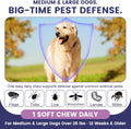 Flea and Tick Prevention for Dogs - 180 Natural Soft Chews - Oral Flea and Tick Treatment & Control Pills for Medium, La