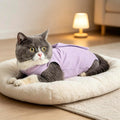 kzrfojy Cat Surgery Recovery Suit Cat Onesie for Cats After Surgery Spay Surgical Abdominal Wound Skin Diseases E-Collar