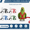 Bird Harness and Leash Adjustable Parrot Leash 47.2" S