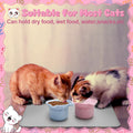 Guiqulai 2 Pack Slow Feeder Cat Bowls Silicone Tilted Raised Pet Bowl with Non Slip Base for Digestion Anti Vomit, Pink, Blue