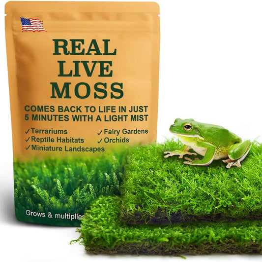 Live Moss Duo Pack 2 Types of Real Live Sheet/Sphagnum Moss for Terrariums, Terrarium Mosses Landscaping, Reptile Tank A