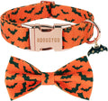Halloween/X-Large