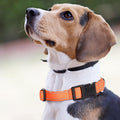 Reflective Martingale Dog Collars. Dog Collar with Quick Release Buckle. Adjustable Soft Padded Breathable Nylon Pet Col