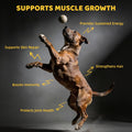 HipyPaw 4-in-1 Muscle Gain Chews for Dogs: High Protein Supplement with BCAAs, Glucosamine & Salmon Oil – Premium Muscle Builder for All Breeds, Puppies to Senior – Salmon Flavor Soft Chews, 100 Tabs