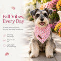 LIONET PAWS Fall Dog Bandana for Small Medium Large Dogs-Pink Pumpkin S