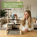 Parrot Playstand Bird Playground