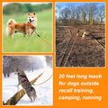 Vivifying Floating Long Dog Leash, 20FT Dog Training Leash, Lightweight Dog Check Cord Rope Lead with Comfortable Handle for Outside, Hiking, Swimming, Beach and Lake