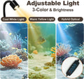 Desktop Aquarium Mini Tank Kit, 1.2 Gallon Rimless Cube with Filter, LED Spotlight, Black Background, Glass Construction