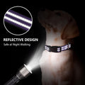 Martingale Collars for Dogs, Reflective Escape Proof Training Dog Collars with Quick Release Buckle,Adjustable No Slip Nylon Dog Collar for Medium Pets